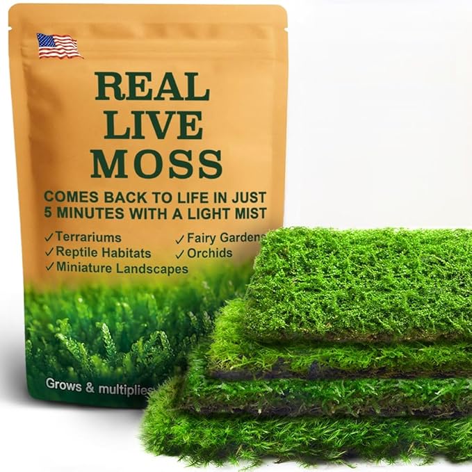 Real Live Moss – 4 Types Live Moss for Terrariums, Jumping Spider, Reptile Habitats & Mini Landscapes | Revives in 5 Minutes with Water Mist, Soft Green Texture, Easy to Grow (4-Pack, 3.5”x7”)