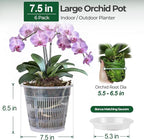 T4U Orchid Pot, 6 Pack 7.5 Inch Orchid Pots with Holes and Saucers, Clear Orchid Pots for Repotting, Plastic Flower Plant Pot for Indoor Outdoor Plants, Large Orchids Planter for Root Health