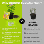 Easter Basket Stuffer – TickleMe Plant Party Favors (2 Pack) – Plant that Moves! Leaves Fold When Touched & Reopen – Kids Grow Kit with Seeds – Fun STEM Gift, Birthday Party Favor
