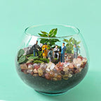 Halatool 2.2LB Crystal Pebbles 0.27"- 0.79" Natural Landscaping Pebbles Aquarium Gravel Decorative Polished Stone Suitable for Plants Home Decoration DIY Handmade Fish Tanks Vase Filler