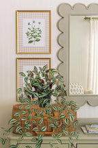2 Pack Fake Hanging Plants for Shelf in Back Pot, Small Artificial Hanging Ivy Vine Plants Indoor Fake Potted Greenery Plant for Home Room Wall Tabletop Mantel Decor, Mimi Faux Peperomia Plant Set