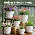 Plant Pots, Self Watering Planters with Drainage Holes and Trays, Flower Pots for Indoor Outdoor - 6 Pack(4/5/6/6.5/7/8 Inch) (White)