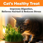 HOME GROWN Cat Grass Seeds 4 oz Oat & Barley Mix – Indoor Cat Grass Refill Kit – Digestive Green Grass for Pets – Heirloom Seeds for Cats’Health & Wellness (Dactylis glomerata)