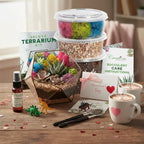 Creations by Nathalie – DIY Large Terrarium Starter Kit with Soil, Moss, Pebbles, Healing Crystal, Tools & Supplies – Terrarium Kit for Adults & Kids, Handcrafted in USA