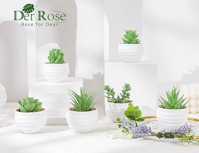 Der Rose 6 Pack Fake Plants Small Realistic Succulents Plants Artificial for Home Room Decor Indoor