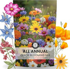 All Annual Quick Blooming Mix - 67,000 Flower Seeds for Planting - Wildflower Mix - Large 4 Ounce Packet