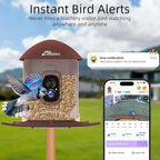 Smart Bird Feeder with Camera Solar Powered, 2.5K HD Birdwatching Camera with Free AI Bird Identification, Instant Notifications & Auto Video Capture, for Dad Granpa Birdlovers, Brown