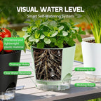 Self Watering Pots for Plants, 2026 New Flower Plant Pots with Drainage Holes, Wicking and Clear Reservoirs for Succulent, Aloe, Cacti and Others - 6 Pack (Colorful, 6")