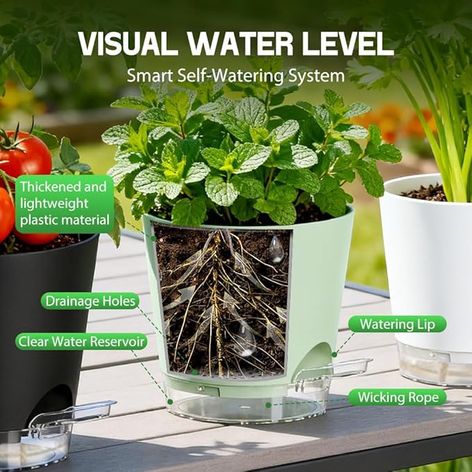 Self Watering Pots for Plants, 2026 New Flower Plant Pots with Drainage Holes, Wicking and Clear Reservoirs for Succulent, Aloe, Cacti and Others - 6 Pack (Colorful, 5")