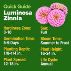 HOME GROWN Pink Zinnia Seeds – 4500 Luminosa Zinnias, Easy to Grow Annual Flower Seeds for Planting Outdoors for 2026, Fast Blooming, Heat Tolerant Herb Seed Garden Companion (Zinnia elegans)