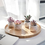 Tiita Purple Artificial Faux Succulents in Pots, Mini Purple Fake Plants for Women Desk, Small Realistic Faux Succulents for Home Office Accessories Window Sill Bathroom Bedroom 4 Set