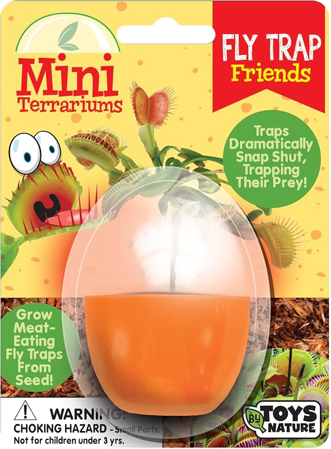 Toys By Nature Mini Terrarium Carnivorous Plant Bundle, 100% USA Made Complete Starter Kit Includes 2 Each of Flytraps, Pitcher Plants, Sundews, Easy to Grow Planting Seeds Just Add Water