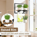 LASZOLA Black Wall Mount Plant Shelves with Hangers for Indoor Flower, Heavy Duty Metal Window Floating Planter Holders Stand, Modern Iron Picture Frame with Hook Decorative for Kitchen Bathroom