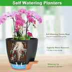 Vanslogreen 6 Inch Orchid Pots with Holes, 2 Pack Self Watering Planters for Orchids Plastic Orchid Pot Plant Flower Pots for Orchids Indoor Outdoor (Black with Brown)