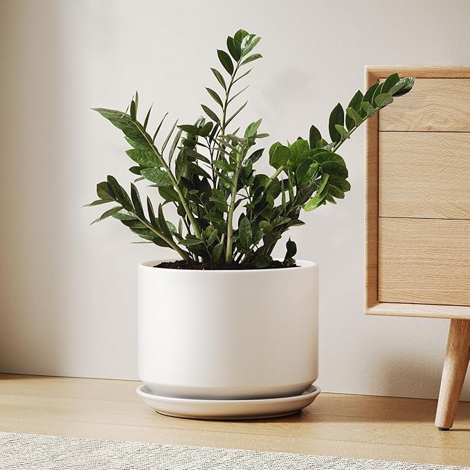 Ceramic Pots for Plants, 10 Inch Plant Pot with Drainage Hole & Saucer, Sturdy & Modern Planters for Indoor Plants, Includes Mesh Screen, Fits Snake Plant & Monstera, White