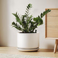 Ceramic Pots for Plants, 10 Inch Plant Pot with Drainage Hole & Saucer, Sturdy & Modern Planters for Indoor Plants, Includes Mesh Screen, Fits Snake Plant & Monstera, White