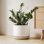 Ceramic Pots for Plants, 10 Inch Plant Pot with Drainage Hole & Saucer, Sturdy & Modern Planters for Indoor Plants, Includes Mesh Screen, Fits Snake Plant & Monstera, White