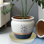 3 Pack of 25 26 inch Plant Saucer (22.7 Inch Base), 4.2" Depth, Large Deep Plastic Flower Planter Water Trays for Indoors Outdoor Bath Bath, Plant Drip Trays for Pot (26", Beige)