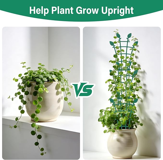 Trellis for Potted Plants (12)