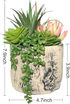 Succulents Plants Artificial, Faux Succulent Plants in Elegant Ceramic Pot Assorted Faux Potted Succulent Plant for Home Living Rooms Bedroom Décor (7.9)