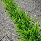 Yimingjin 12 Bundles Artificial Grass Fake Plants，Outdoor Fake Grass for Pot UV Resistant Patio Garden Porch Home Window Hanging Planter Decor Faux Plastic Shrubs(Green)
