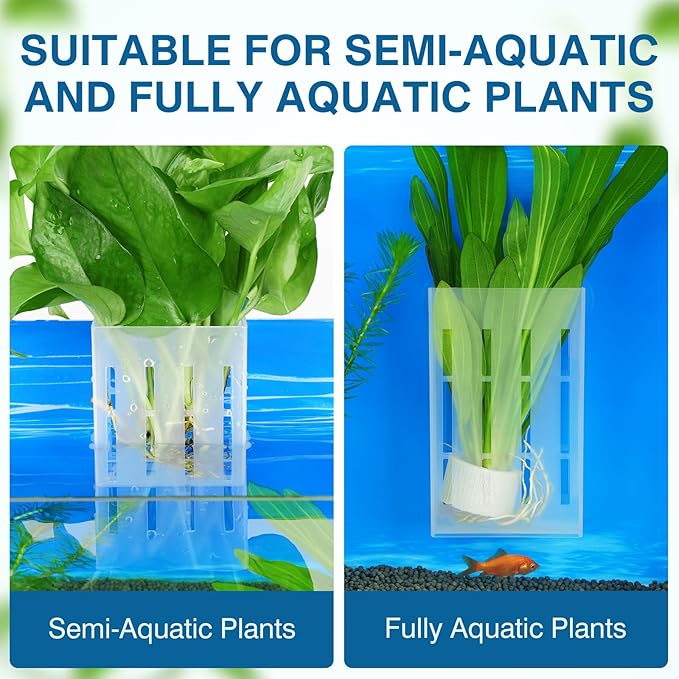 Borlech Upgraded Large Aquarium Plant Holder with Hooks and Suction Cups for Fish Tank Aquaponic Plant Cultivation and Aquascape Decorations (Semitransparent)