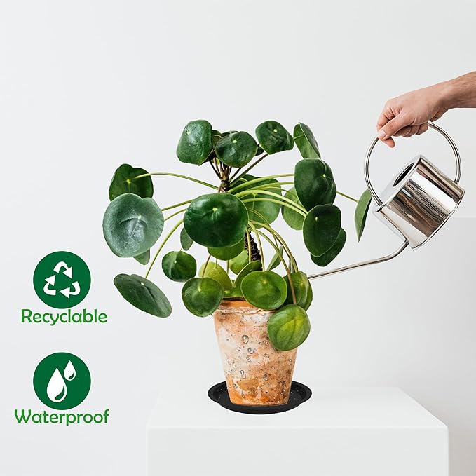 6 Pack 8 Inch Round Plant Saucers for Less 6.8 Inch Pot Indoors Outdoors Plant Trays for Pots Planter Saucer Plastic Plant Drip Tray Planter Water Tray for Potted Plants(Black, 8"(6pcs))