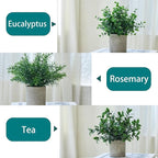 3 Pack Fake Plants Artificial Potted Eucalyptus 7.9 inch Lifelike Small Faux Topiaries Perfect for Home Office Desk,Shelf Decor (Dark Green)