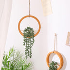 Boho Wall Decor, 2Pcs Fake Hanging Plants Artificial Succulents, Indoor Hanging Planter Greenery Decor, Perfect for Bathroom Living Room Bedroom Office Washroom, Faux Succulent Wall Floating Plants