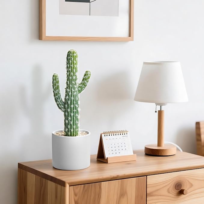 Artificial Cactus Plants - Potted Succulents in Ceramic, Faux Cacti and Succulent Decor for Home, Office Desk，Living Room-1pack