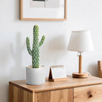 Artificial Cactus Plants - Potted Succulents in Ceramic, Faux Cacti and Succulent Decor for Home, Office Desk，Living Room-1pack