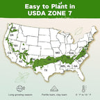 Lush&Dew Year-Round USDA Zone 7 Seed Bank, Gift for Mom Dad, 32 Varieties Non-GMO Heirloom Seeds of Vegetables Flowers, Gardening Gifts for Women Men, Survival Kit for Raised Garden Bed Greenhouse