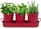 Plexon Herb Planter Indoor Garden Set of 3 with Tray, Metal Herb Pots for Indoor Plants, Round Kitchen Garden Kit Ideal for Windowsill Planter or Countertop, Red Powder Coated