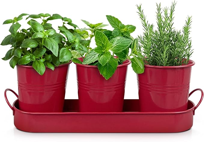 Plexon Herb Planter Indoor Garden Set of 3 with Tray, Metal Herb Pots for Indoor Plants, Round Kitchen Garden Kit Ideal for Windowsill Planter or Countertop, Red Powder Coated