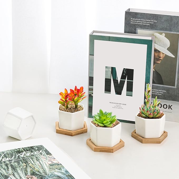 T4U Mini White Succulent Planter Pots with Bamboo Tray Hexagon Set of 12,Tiny Geometric Ceramic Cactus Plant Holder, Plant Gifts for Gardener Women Coworker, Home Office Table Desk Decoration