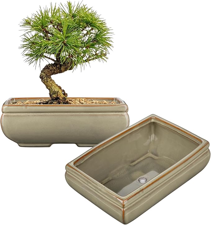 Ceramic Bonsai Pots with Drainage Hole, Set of 2 Rectangular Glazed Bonsai Planters for Indoor/Outdoor Use, Shallow Brown Bonzai Tree Pots for Succulent, Orchids, Cacti, Home, Patio, Garden, 8.7"x5.9"