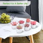 ZINHO Fake Succulent Plant Set 6 PCS Artificial Succulent Plants for Desk Realistic Faux Succulents in Plastic Pots Mini Colorful Succulent Decor for Bedroom Office Shelf Decor (Pink)