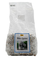 Root Mushroom Farm-Blue Oyster Grain Spawn(NOT A GROW KIT)