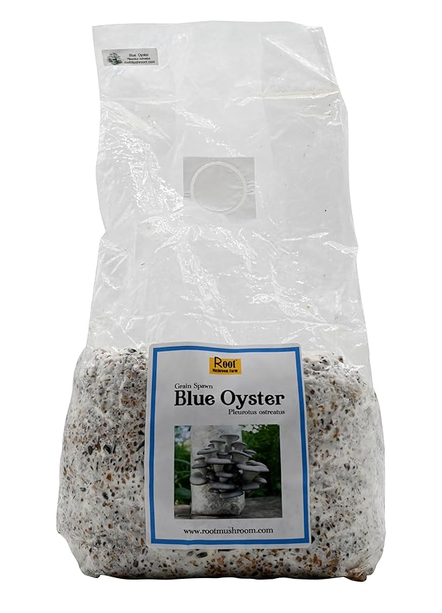 Root Mushroom Farm-Blue Oyster Grain Spawn(NOT A GROW KIT)