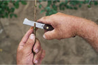 FELCO Budding And Grafting Knife