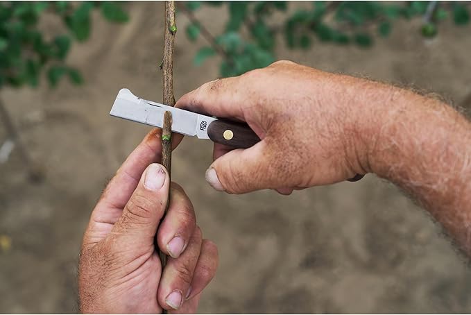 FELCO Budding And Grafting Knife