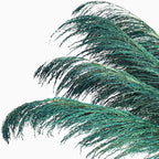 Pampas Grass Decor Tall,Long Pampas, Large Pompas Floral, Elegant Feather Flowers for Wedding Decorations, Living Room Decor (Natural Teal, 4pcs 43.3"(110cm))