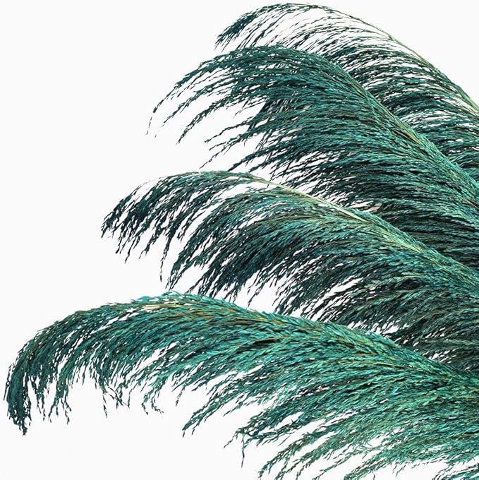Pampas Grass Decor Tall,Long Pampas, Large Pompas Floral, Elegant Feather Flowers for Wedding Decorations, Living Room Decor (Natural Teal, 4pcs 43.3"(110cm))