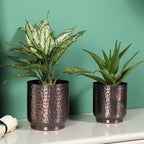 MyGift Handmade Hammered Vintage Copper Metal Plant Vase, Decorative Indoor Cylindrical Flower Planter Container, 5 and 6 Inch Pots, Handcrafted in India