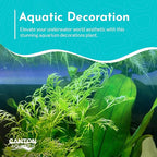 Live Aquarium Plants - Water Sprite Aquarium Plant, Ceratopteris Thalictroides - Perfect Live Aquatic Plants for Fish Tanks and Aquariums