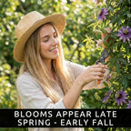 Passion Flower Seeds 50+ Pack Grow Exotic Passion Vine Climbing Flowers for Trellis Fence or Containers Bonsai Option Fast Growing Ornamental Garden Plant