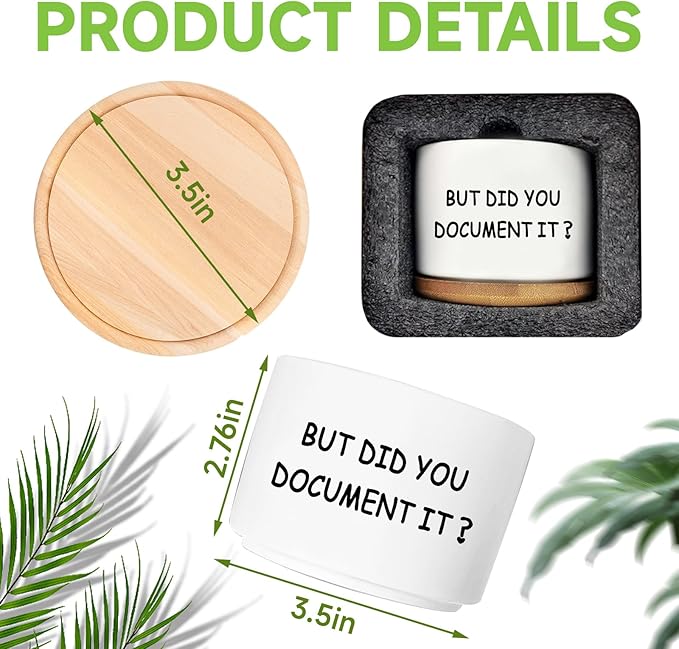 Office Desk Shelf Decor, Succulent Plant Pot, Ceramic Flower Cactus Planter Office Accessories Gifts for Coworker Employee Colleague Women Men Friend, But Did You Document It (Plants Not Included)