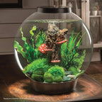 BiOrb 46084.0 Moss Pebbles Aquariums