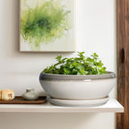 SQOWL Large Succulent Planters - 12 Inch Ceramic Bonsai Pots with Drainage Hole and Saucer, Shallow Round Planter for Indoor Plants, Bowl Planter Outdoor, Living Room Decor, Birthday Gift, Gray-Beige
