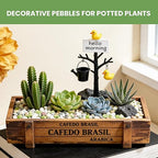 Pebbles for Indoor Plants,3/8 Inch Mixed Color Gravel, Polished Decorative Stones Colorful River Rock for Plants - for Succulent, Cactus, Fish Tank, Vase, Bird Bath, Garden Landscaping 12LB